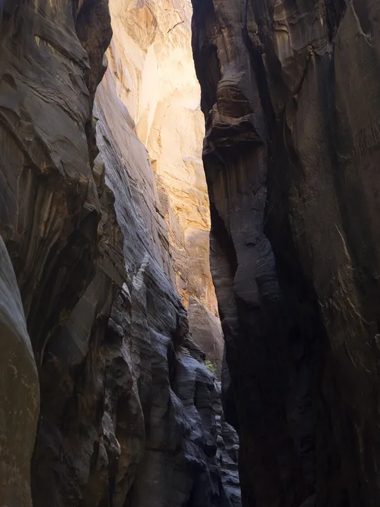 Shades of stone in The Narrows of Zion National Park