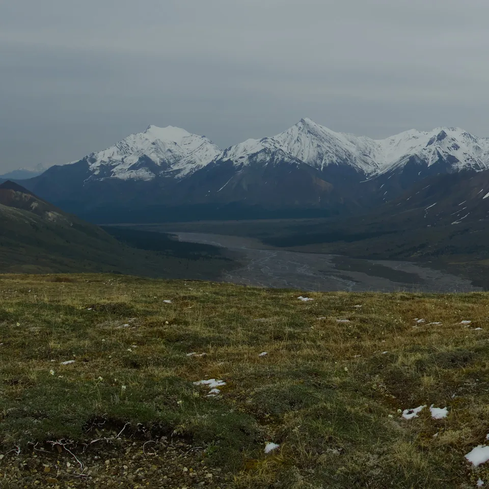 Admiring the mountain range in Denali National Park (panel 1 of 4)