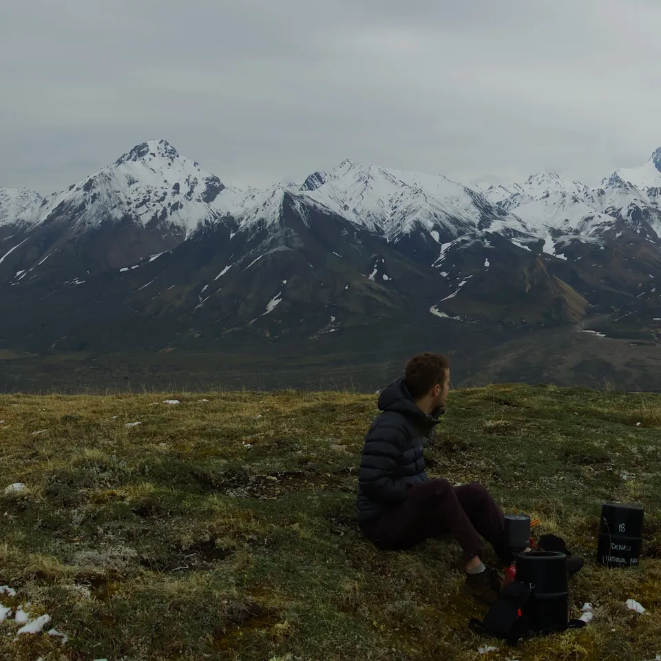 Admiring the mountain range in Denali National Park (panel 2 of 4)