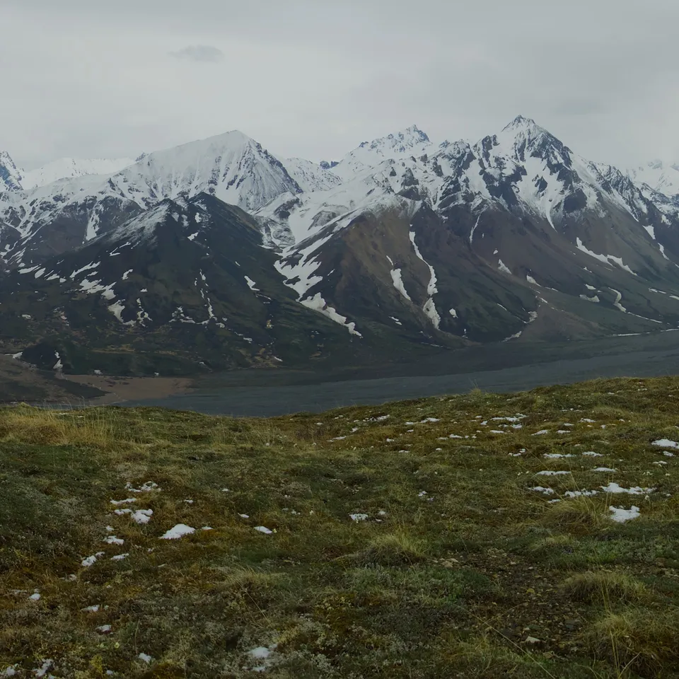 Admiring the mountain range in Denali National Park (panel 3 of 4)