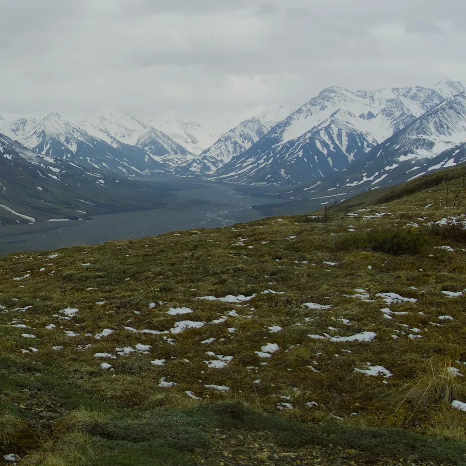 Admiring the mountain range in Denali National Park (panel 4 of 4)