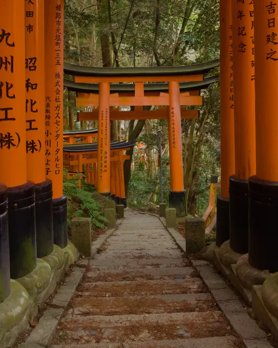 Tori gates at the famous Shinto shrine, Fushimi Inari