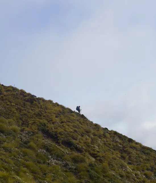Climbing down Jumbo Peak along the Holdsworth Jumbo Track