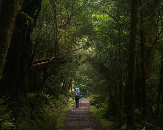 Hiking the Milford Track