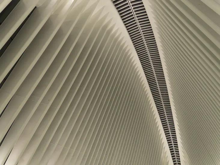 Ceiling of the Oculus train station