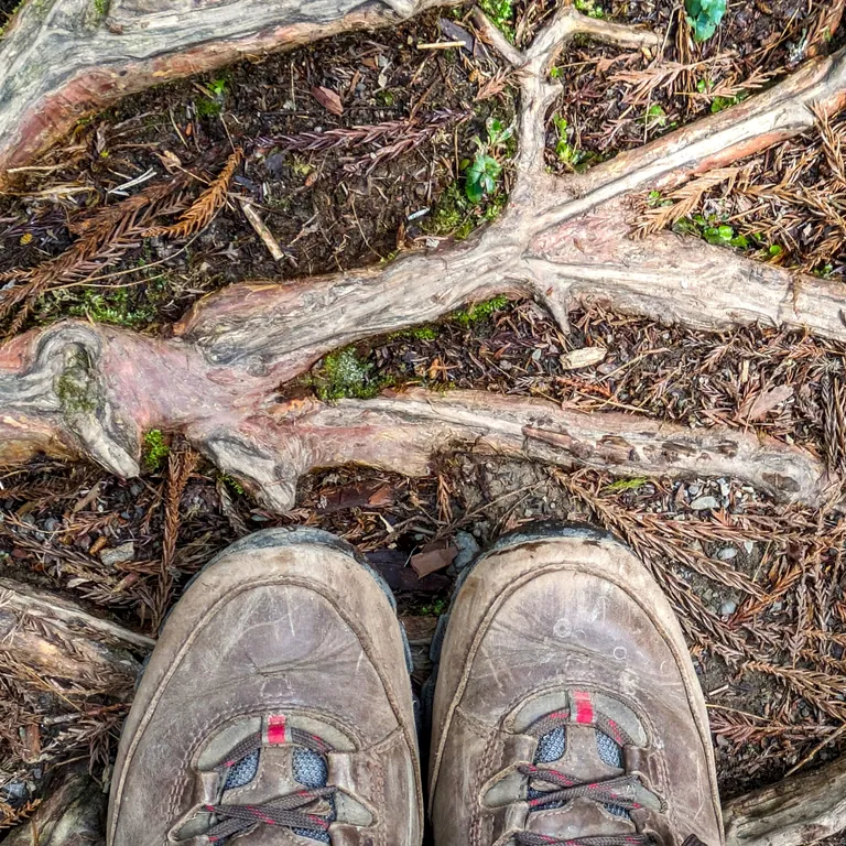 The various surfaces of the Kumano Kodo pilgrimage route (7 of 10)