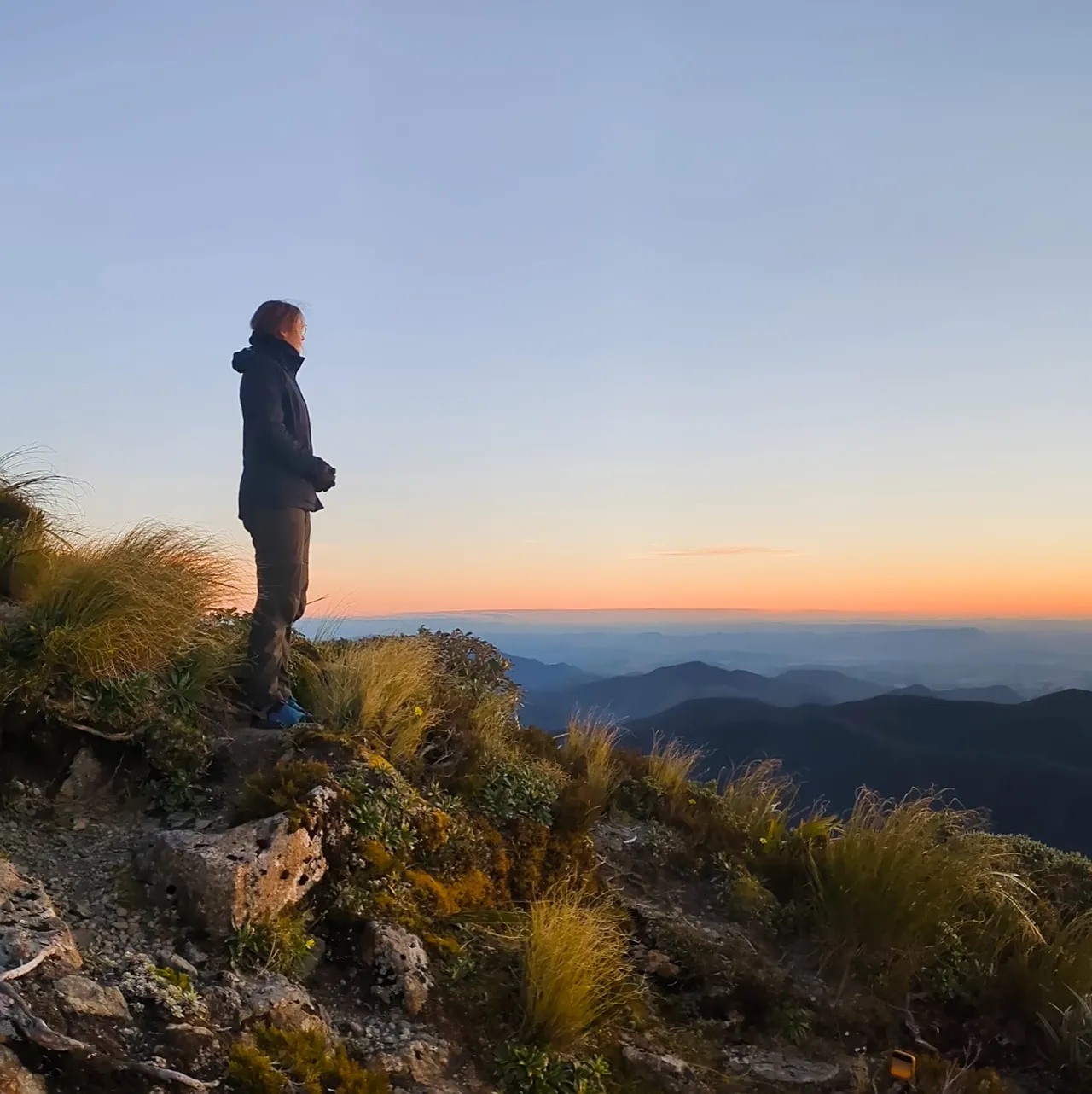 Sunrise near Powell Hut on the Holdsworth Jumbo Track (panel 1 of 3)