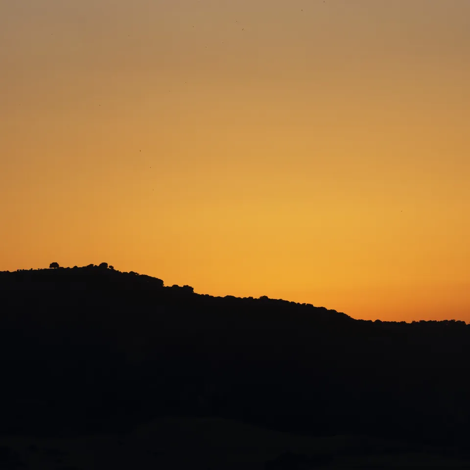 Sunset along the ridgeline (panel 5 of 8)
