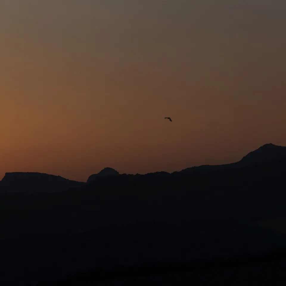 Sunset along the ridgeline (panel 7 of 8)